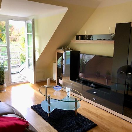 Ferienwohnung Im Gruenen Auf Idyllisch Gelegenen Gutshof Und Doch So Zentral Waldshut-Tiengen Exteriör bild