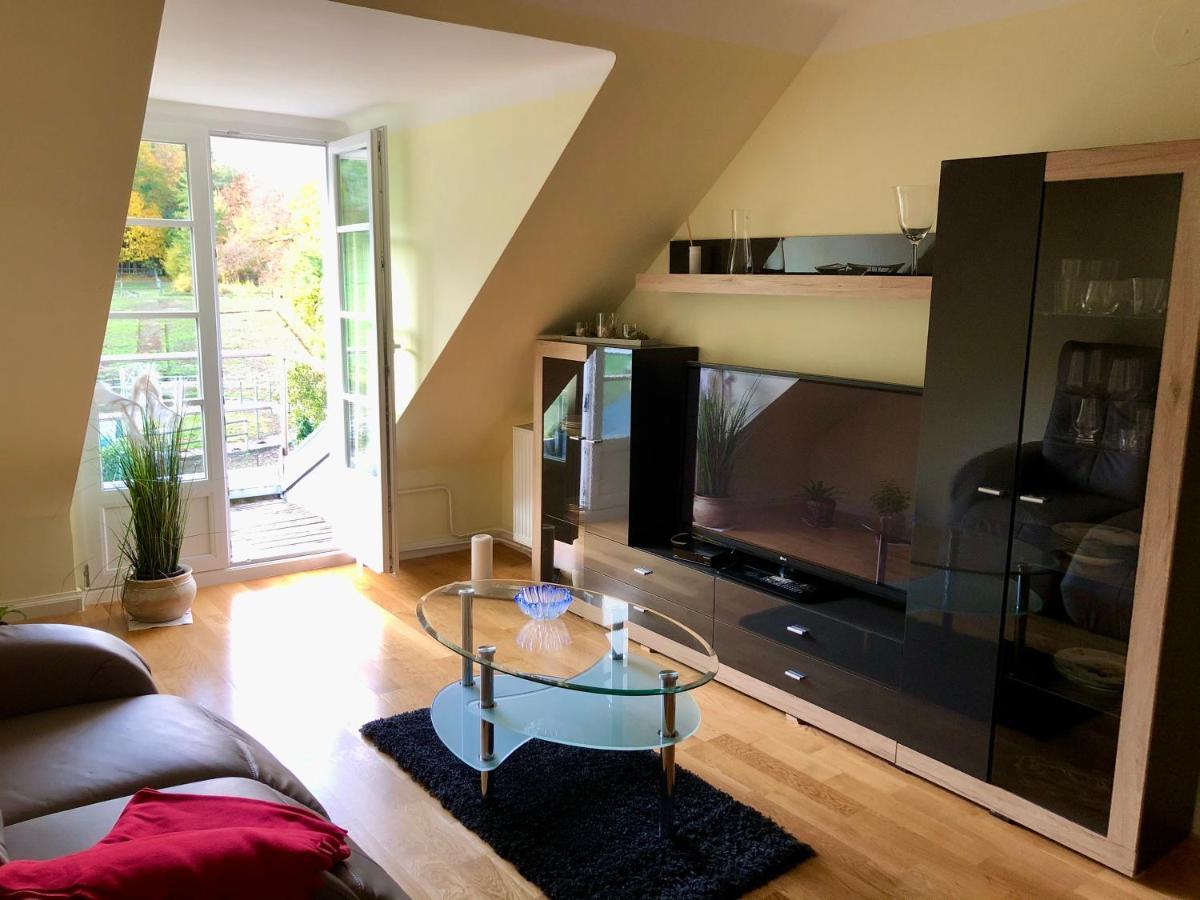 Ferienwohnung Im Gruenen Auf Idyllisch Gelegenen Gutshof Und Doch So Zentral Waldshut-Tiengen Exteriör bild