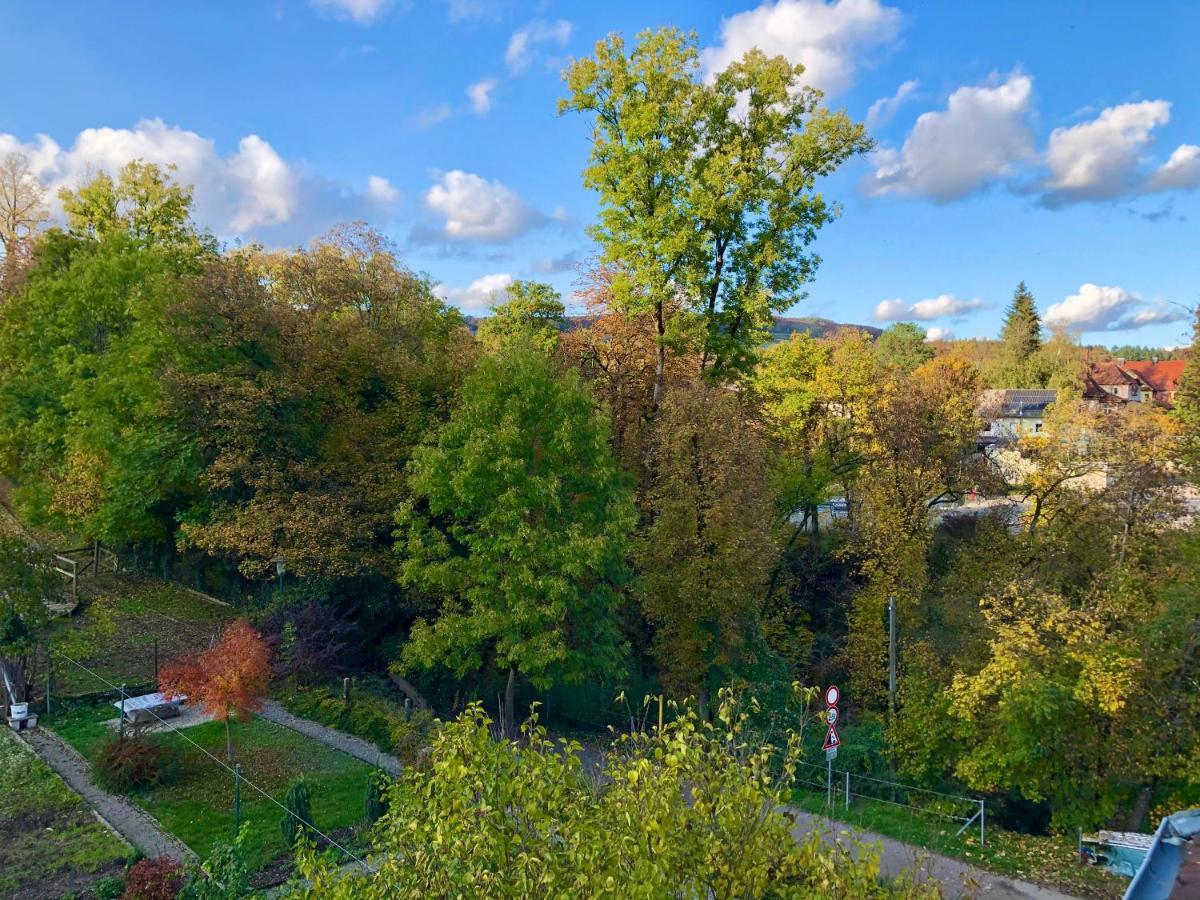 Ferienwohnung Im Gruenen Auf Idyllisch Gelegenen Gutshof Und Doch So Zentral Waldshut-Tiengen Exteriör bild